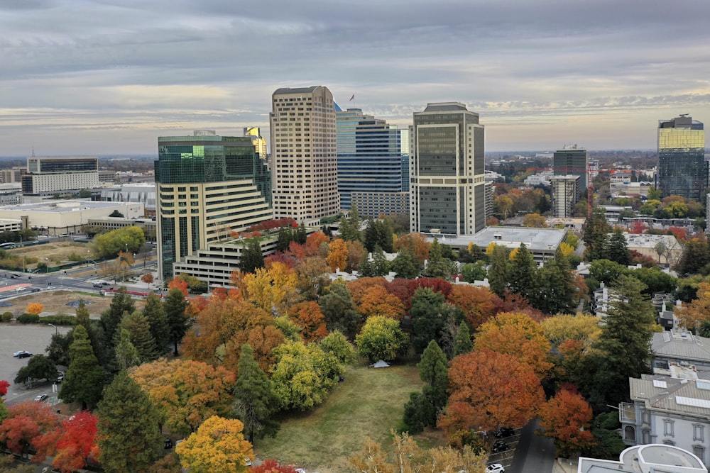 green and brown trees near city buildings during daytime