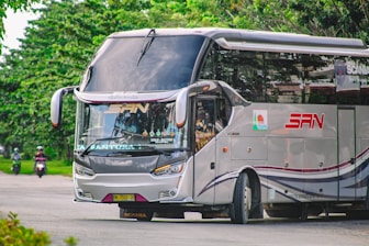 white and black bus on road during daytime