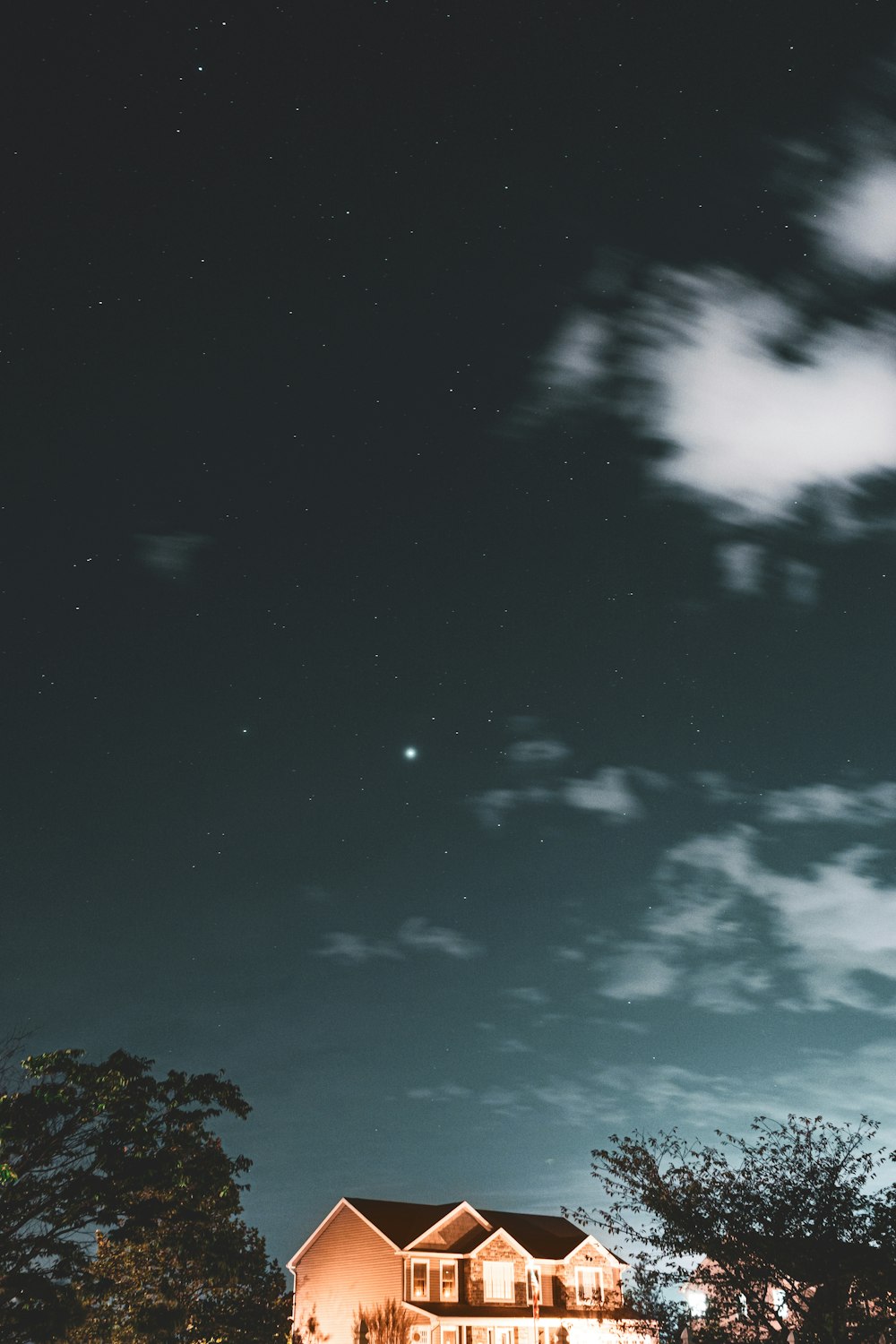 green trees under blue sky during night time