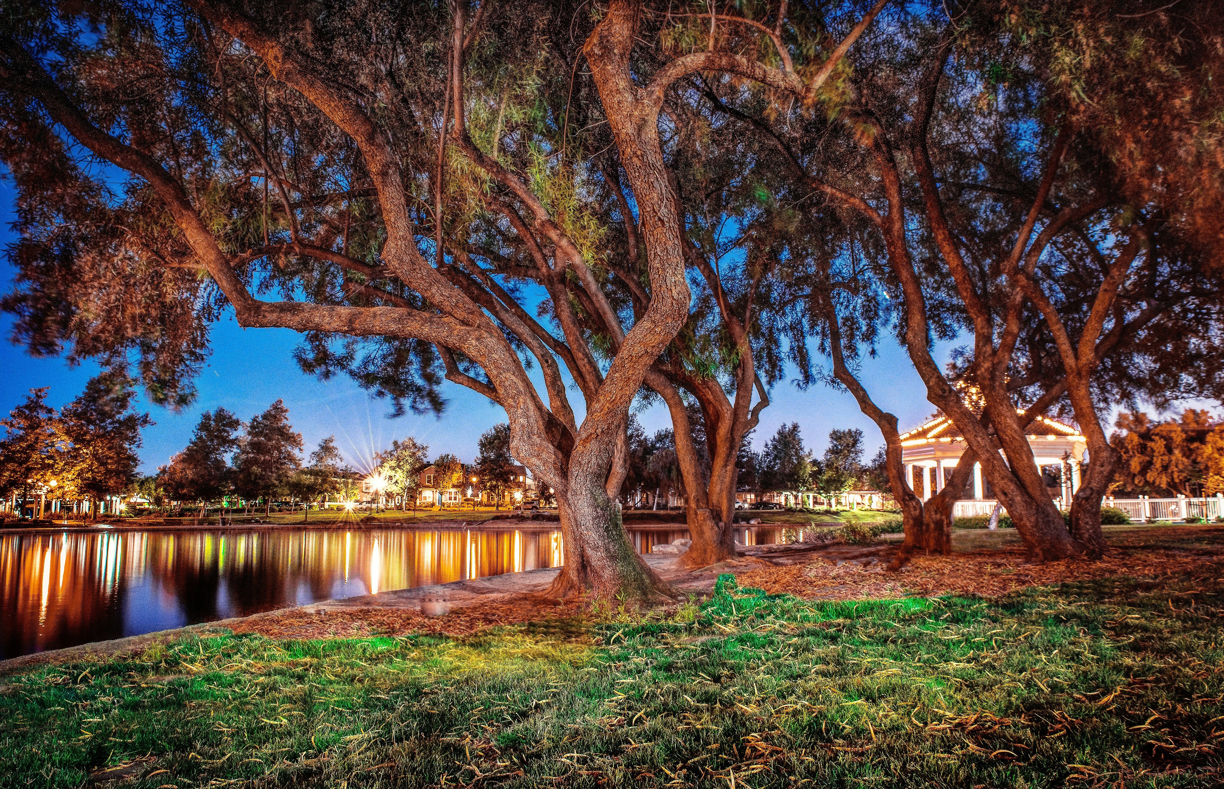 Madigan Park