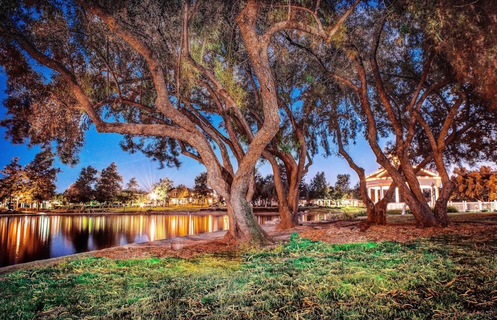 brown wooden gazebo near body of water during daytime