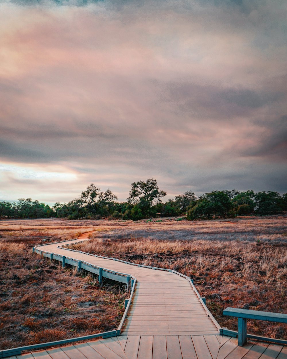 white wooden dock on brown grass field under gray cloudy sky