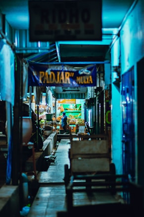 A dimly lit narrow alley in a market setting with a variety of stalls. A person can be seen in the distance behind a vegetable stand, surrounded by produce. The signs above the stalls are brightly colored, with one prominently displaying the words 'PADJAR MULYA'. The area appears cluttered with objects like carts and baskets.