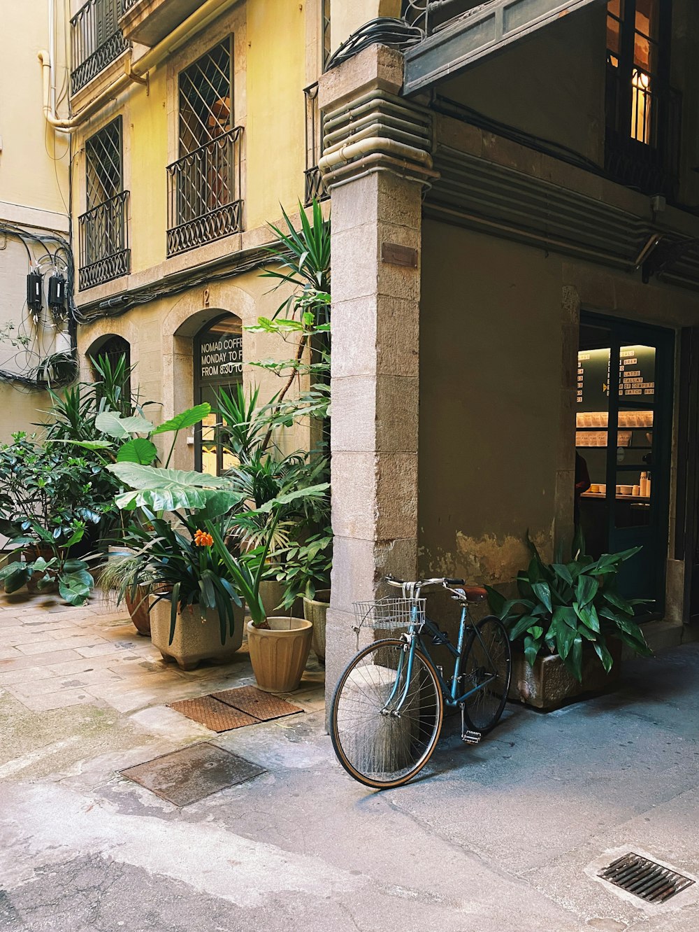 white bicycle parked beside green plant