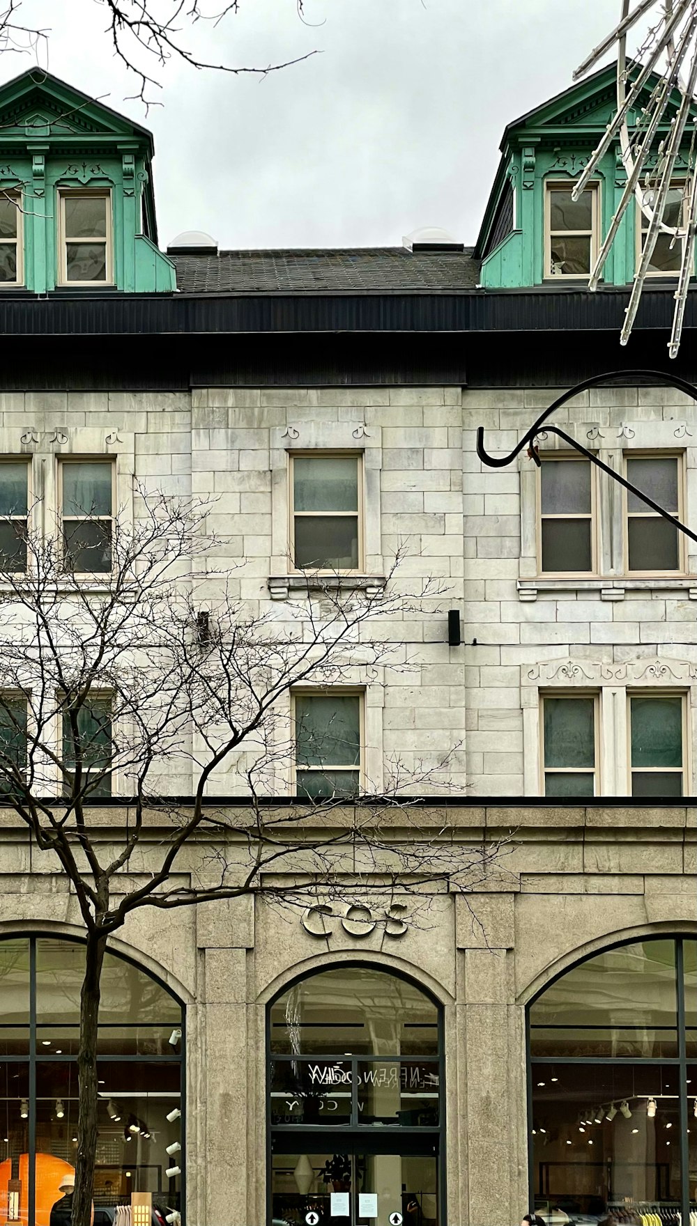 leafless tree in front of white concrete building