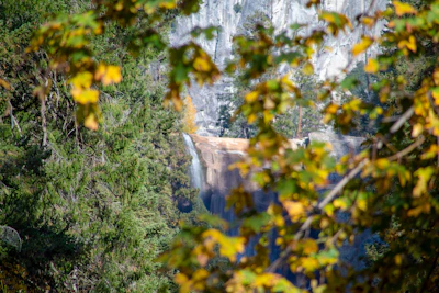 View of Rudradhari Falls framed by lush greenery near the hotel