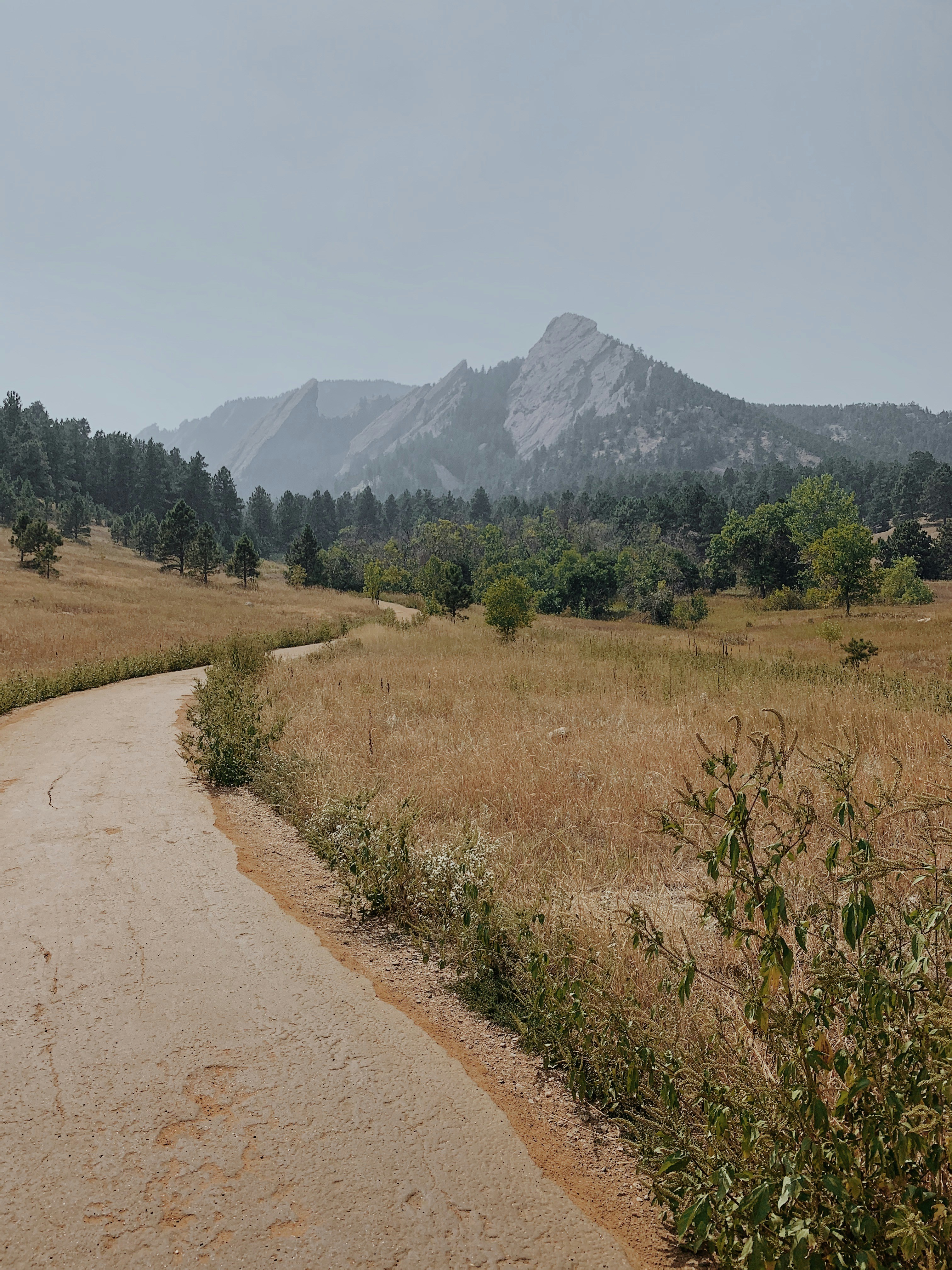 brown dirt road between green grass field during daytime