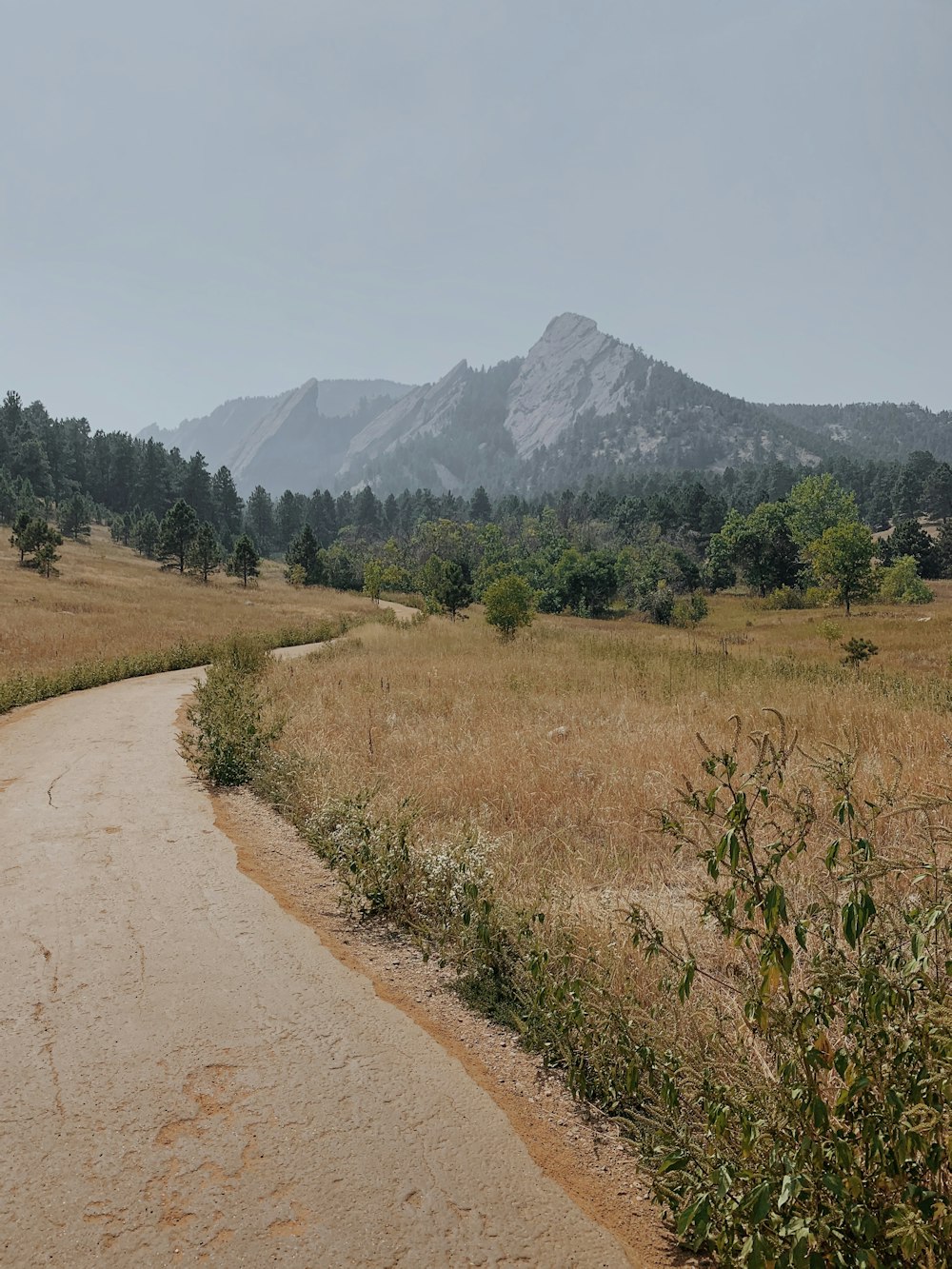 brown dirt road between green grass field during daytime