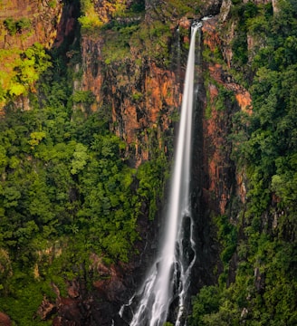 waterfalls in the middle of forest during daytime