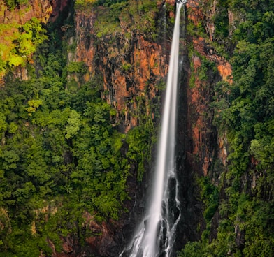 waterfalls in the middle of forest during daytime