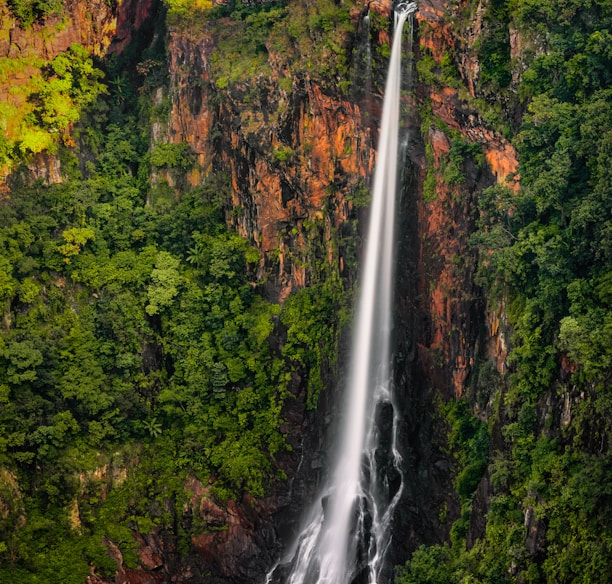 waterfalls in the middle of forest during daytime