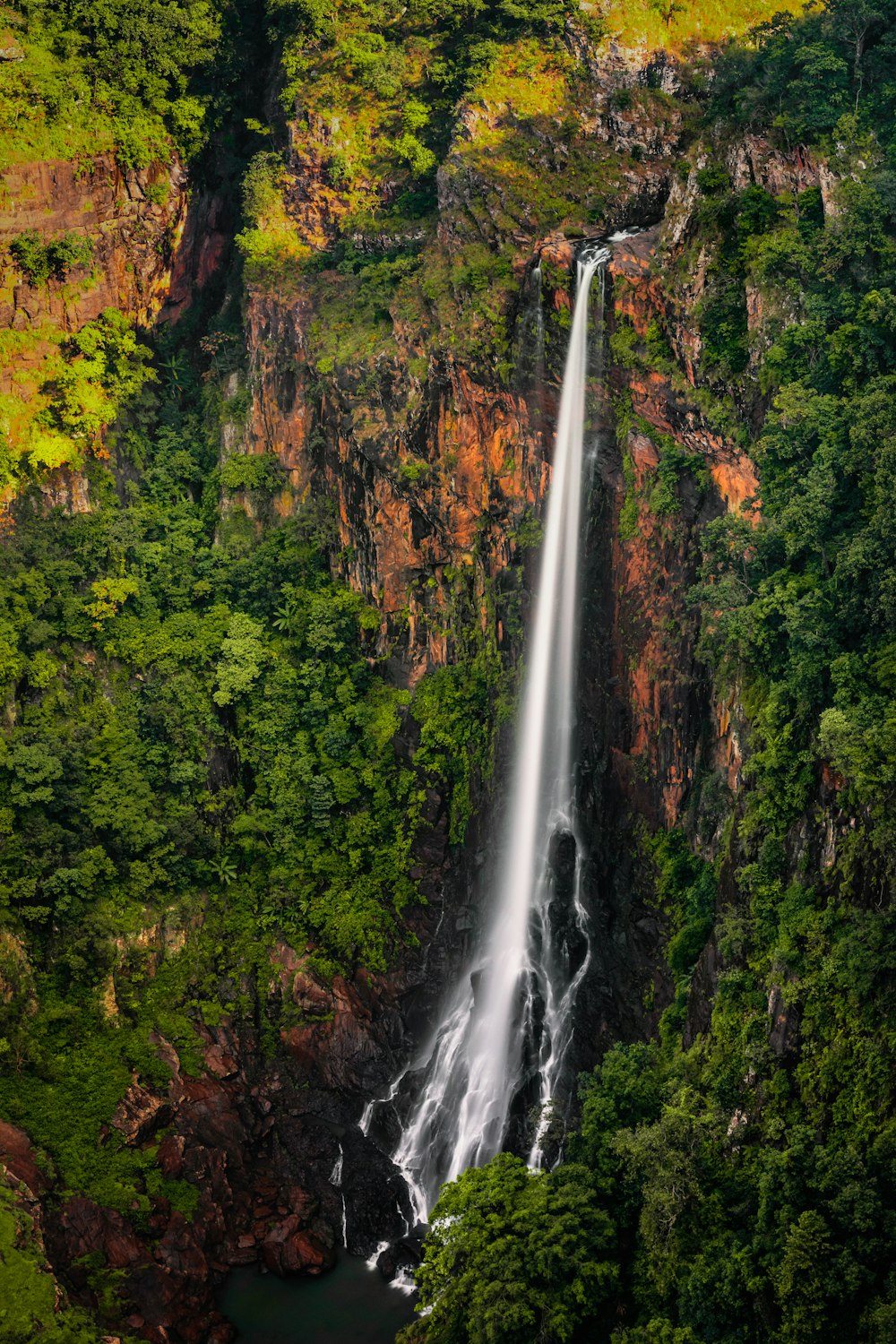 waterfalls in the middle of forest during daytime