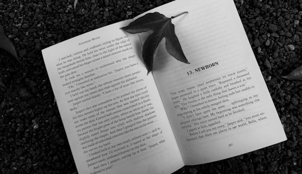 An open book is laid flat on a pebble-covered ground. A solitary leaf rests on the middle of the book's center, casting a slight shadow. The pages are filled with readable text, and the book appears to be a novel with a chapter title visible on the right page.