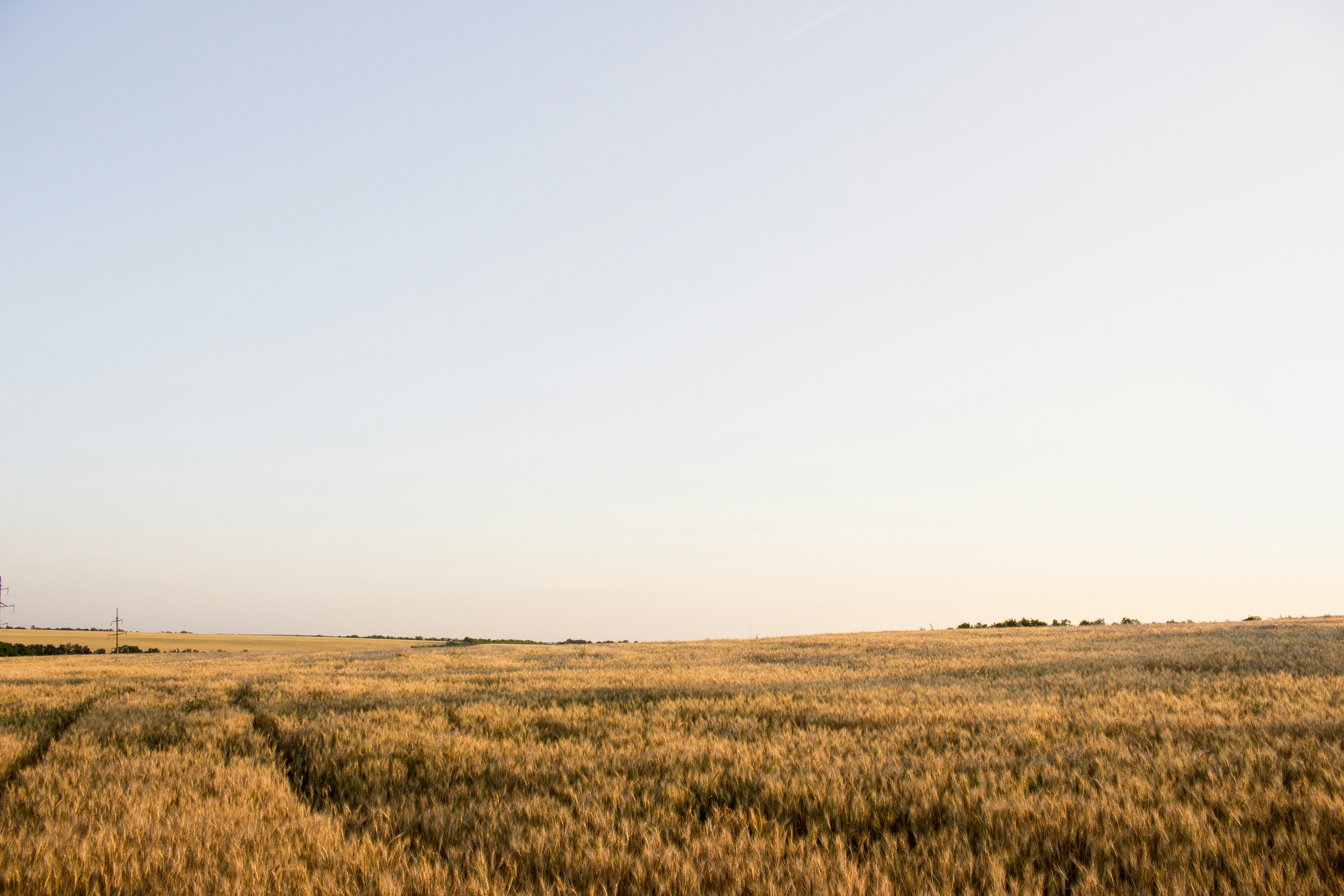 Photo by roman_lupan