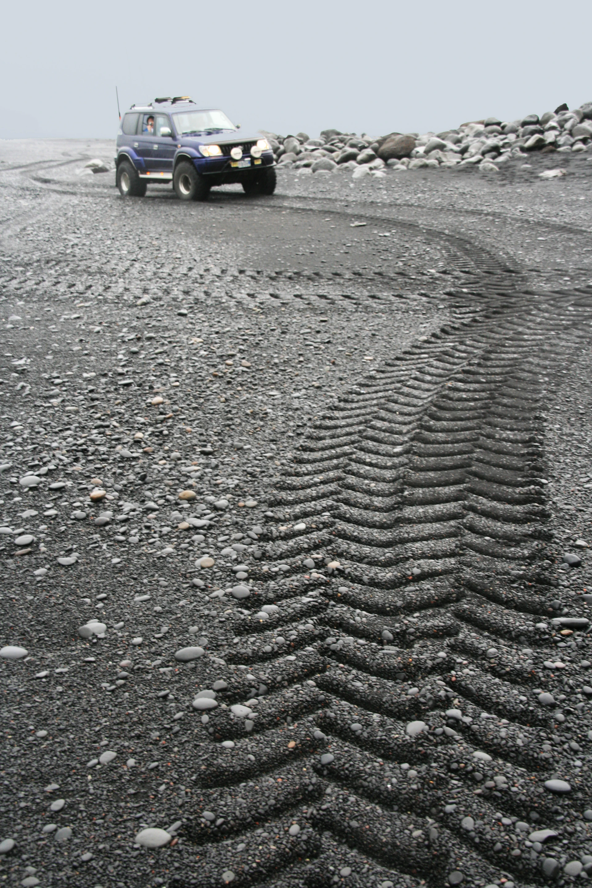 woman holding dried flower