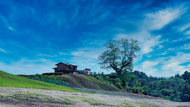 A cozy red sandalwood house surrounded by lush greenery under a clear blue sky.