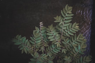 A vibrant green-themed banner showing a variety of digital course materials like video play icons and PDF documents.