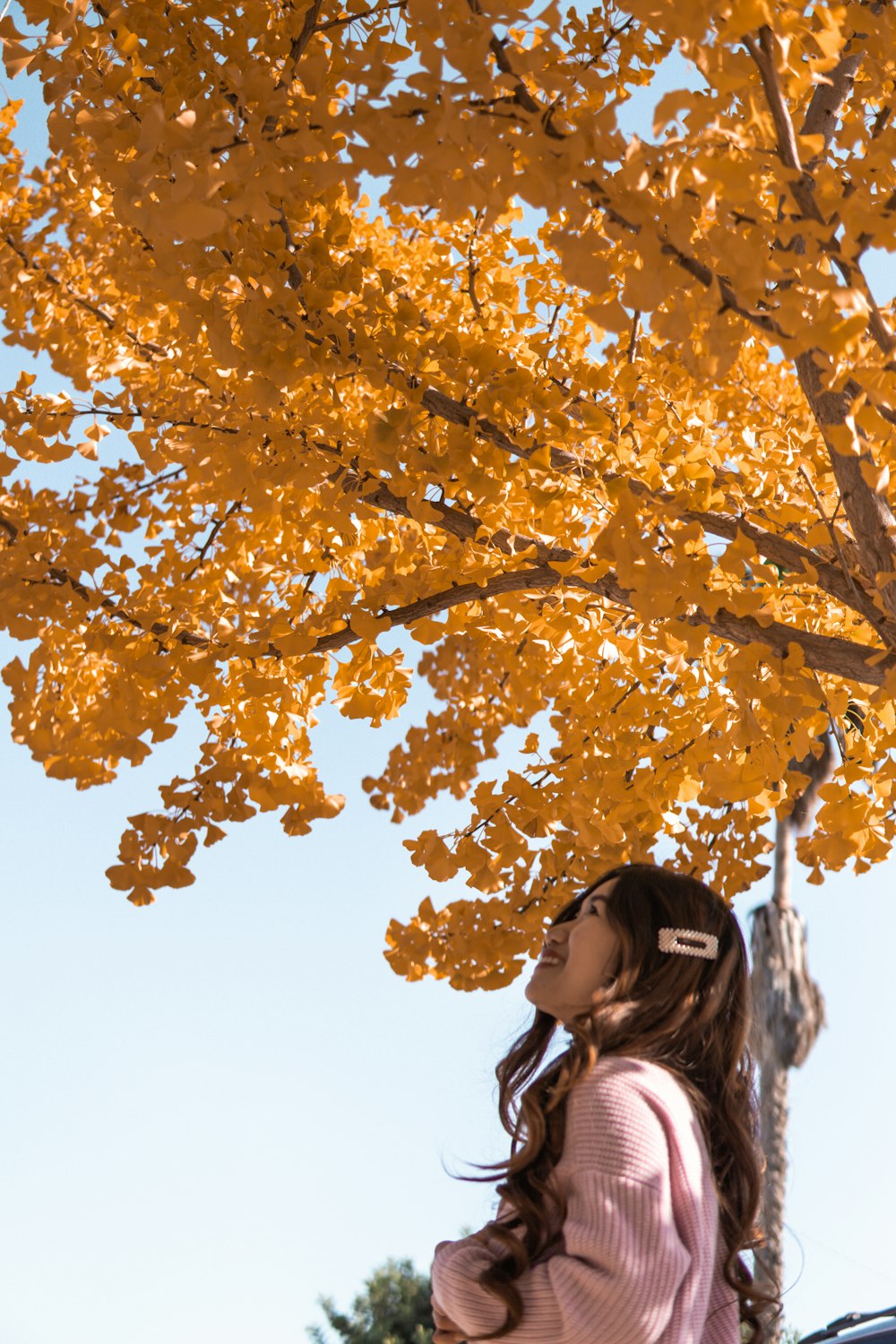 woman in black jacket standing under yellow leaf tree during daytime