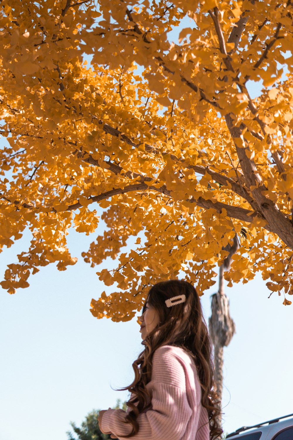 woman in black sunglasses under yellow leaves tree during daytime