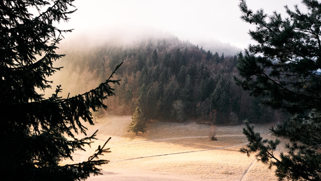 Ecoregion photo spot Mrzlica Kamnik