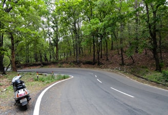 A winding road through lush South Indian countryside with a scooter parked beside a tree.