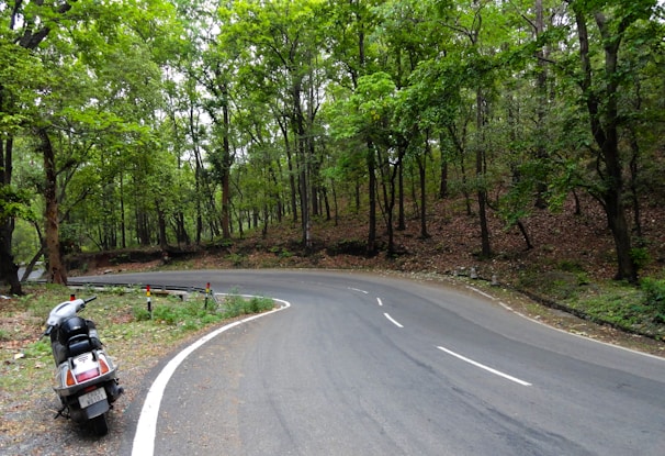 A winding road through lush South Indian countryside with a scooter parked beside a tree.