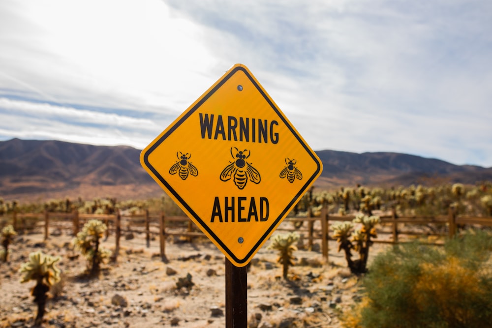 yellow and black road sign