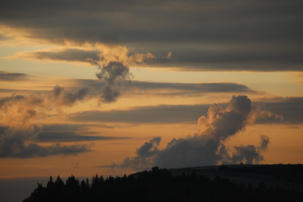 silhouette of trees under cloudy sky during daytime