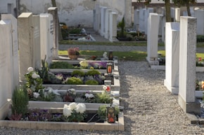 green and white flower garden
