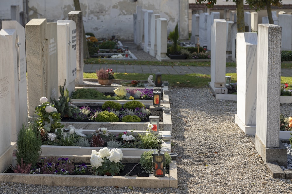 jardin fleuri vert et blanc