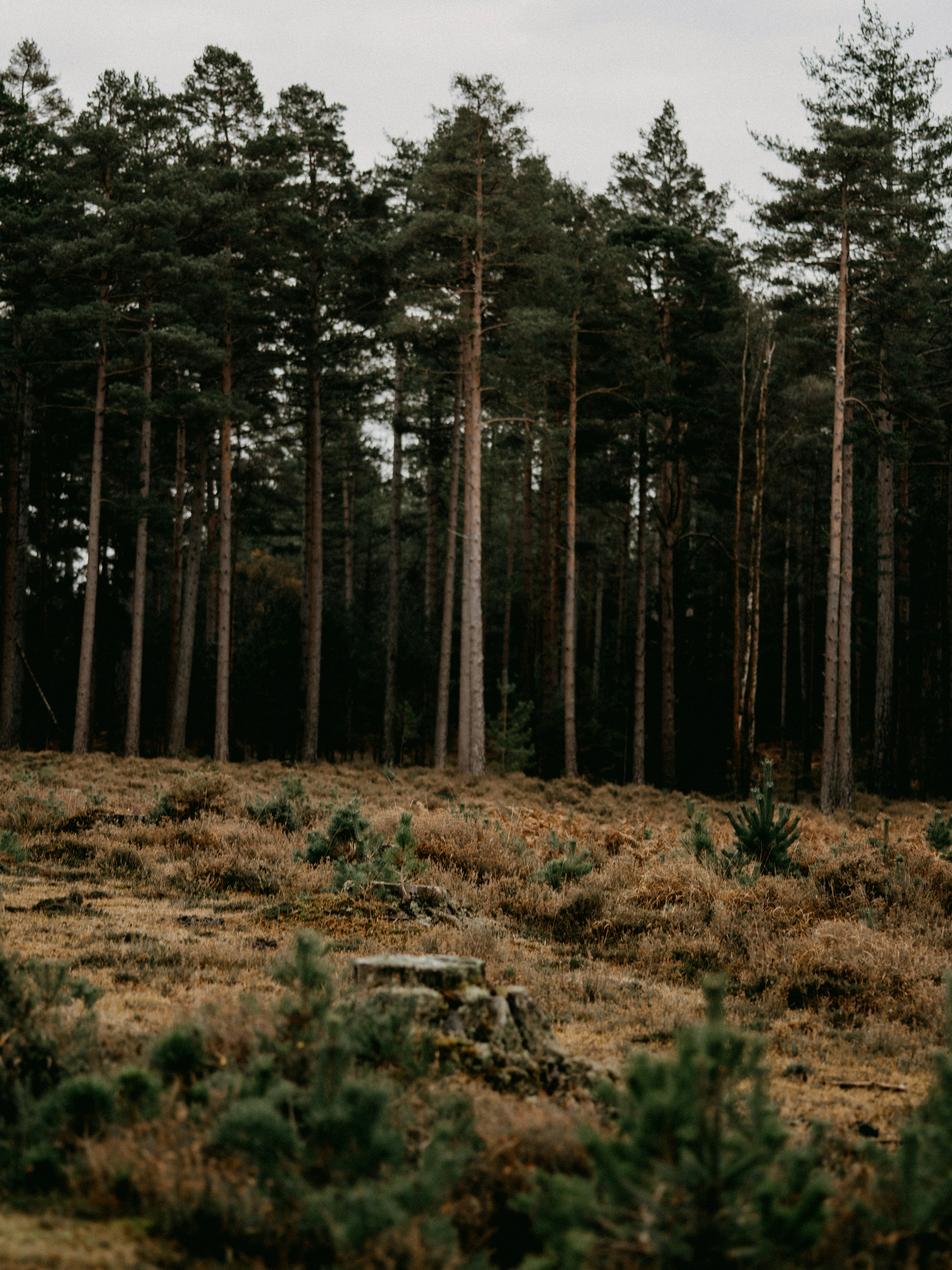 Photo by anniespratt