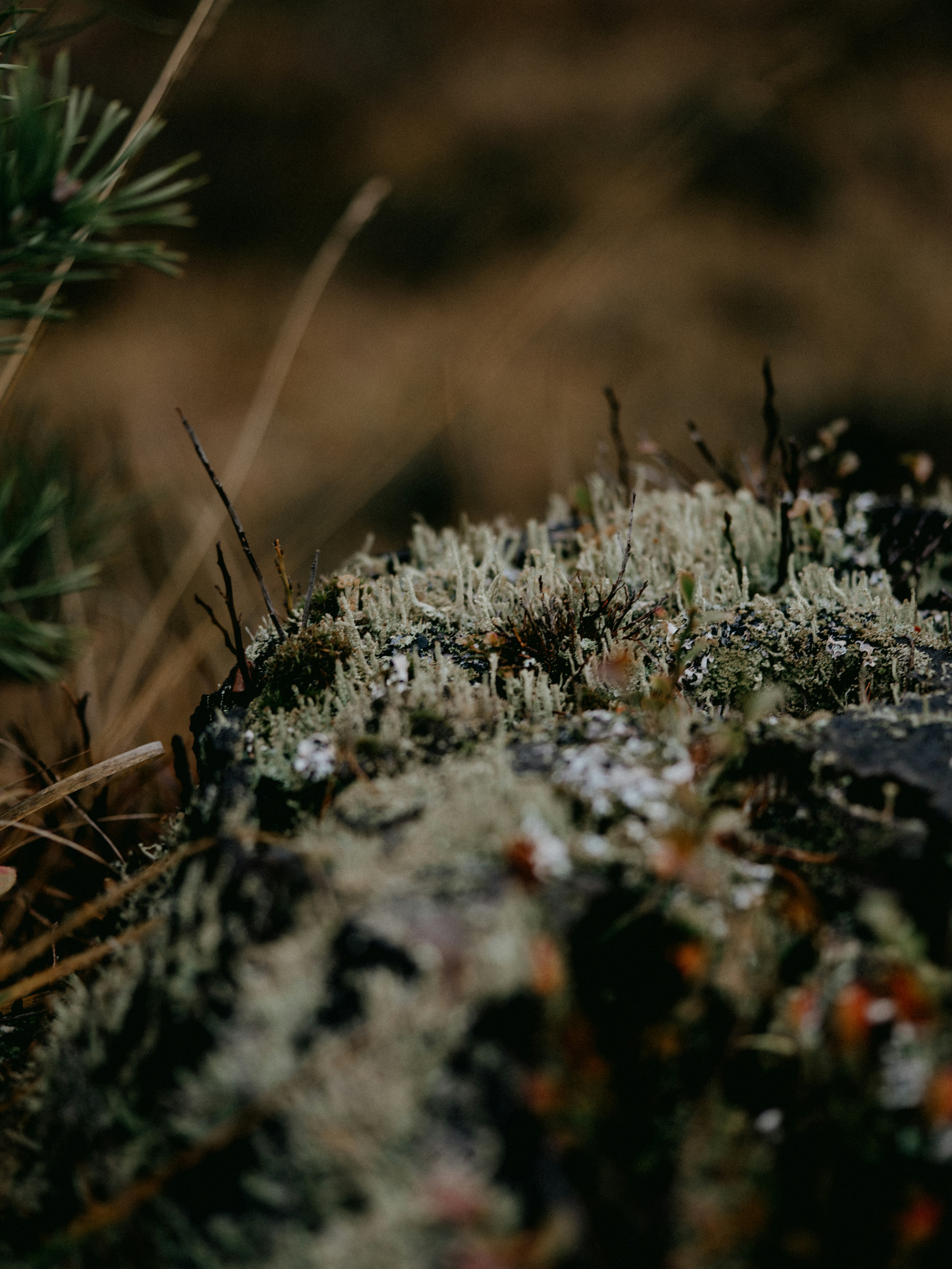 Photo by anniespratt