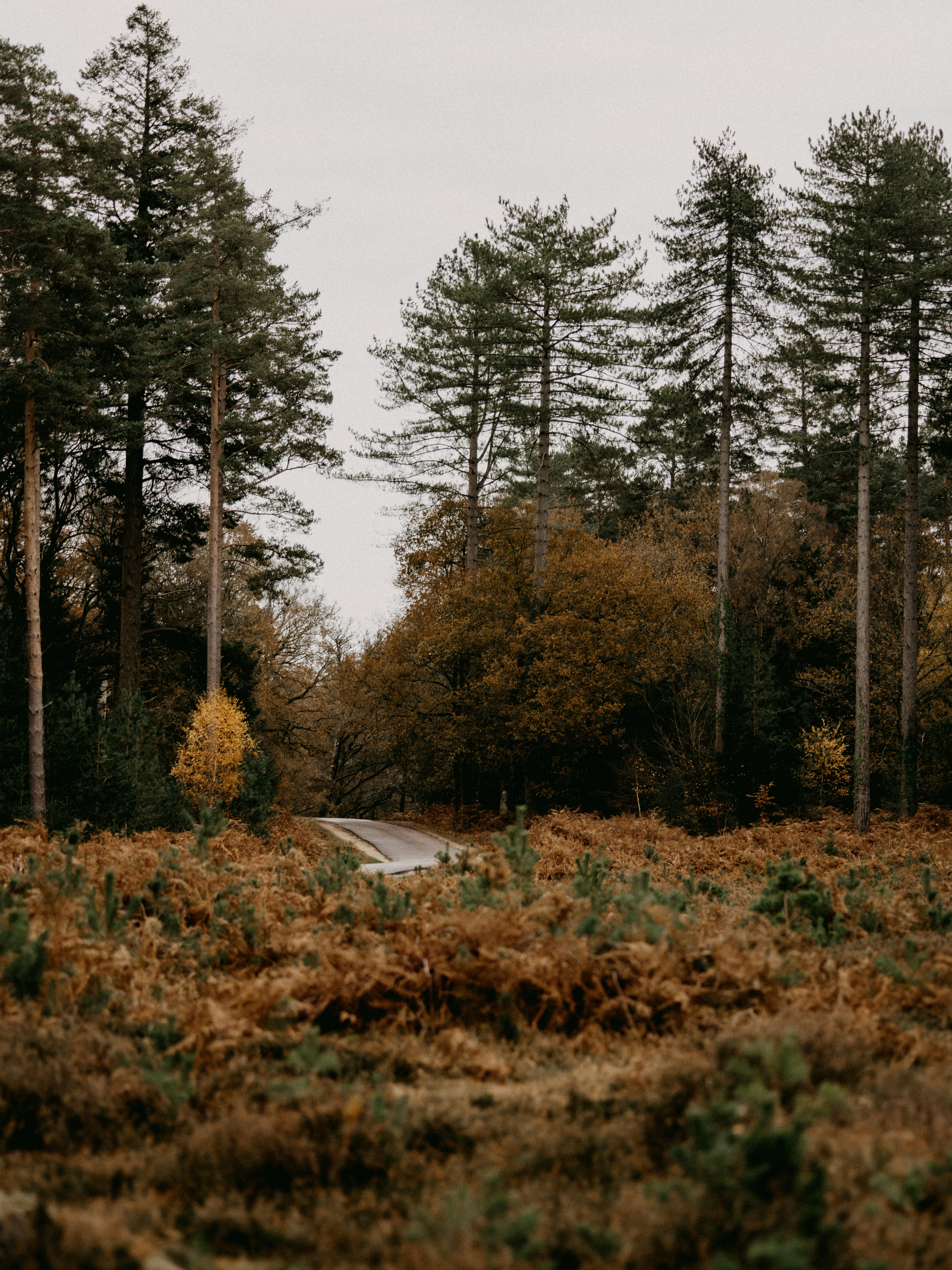 Photo by anniespratt