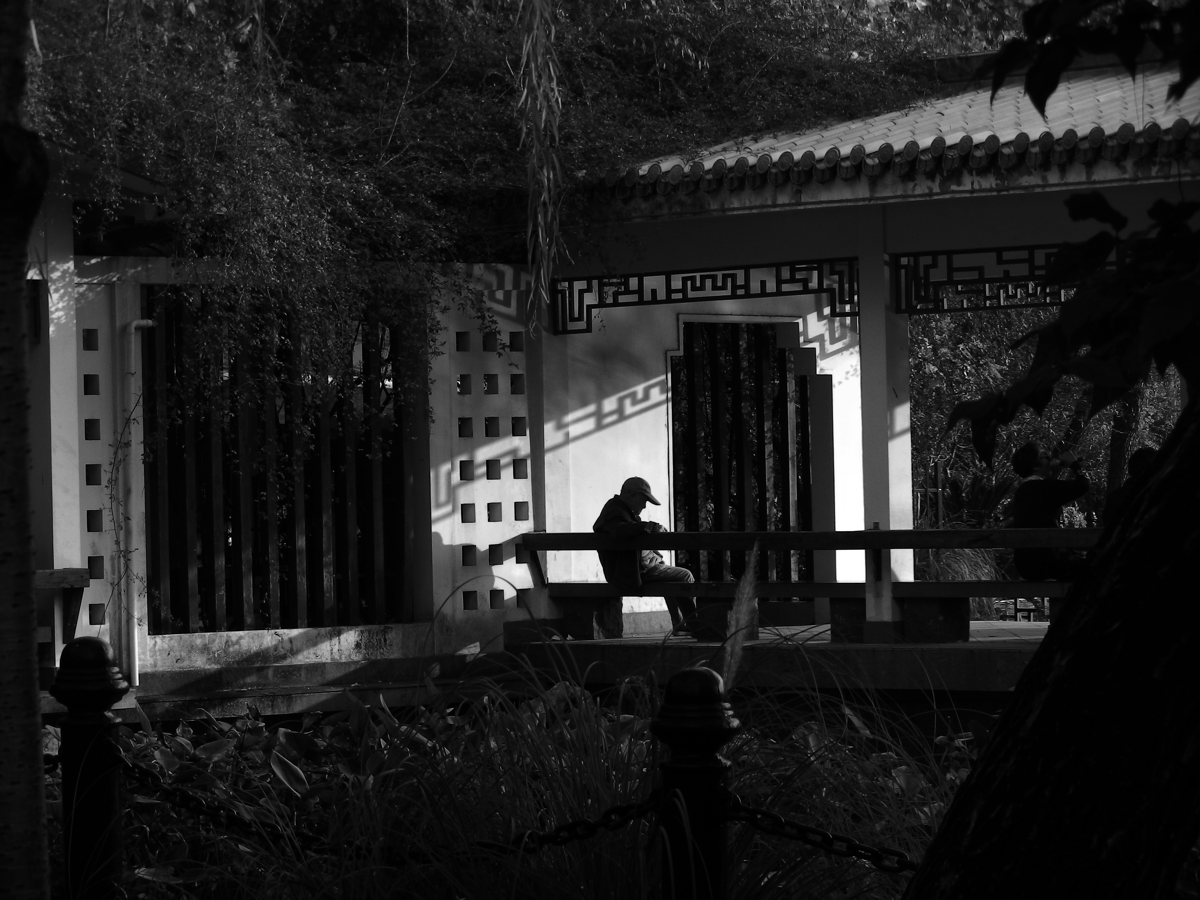 Photo by xuxuxuhappy