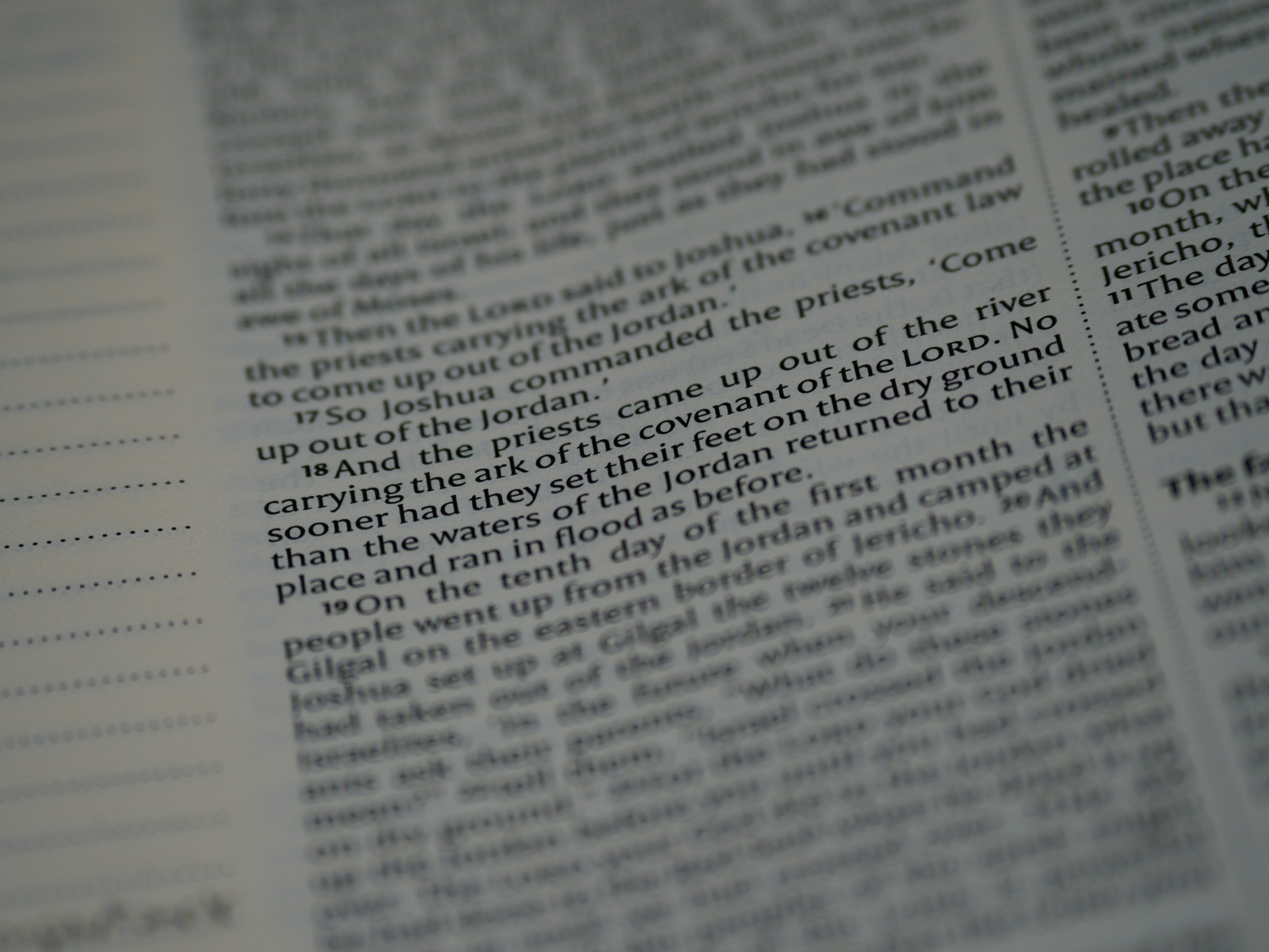 Photo by brett_jordan