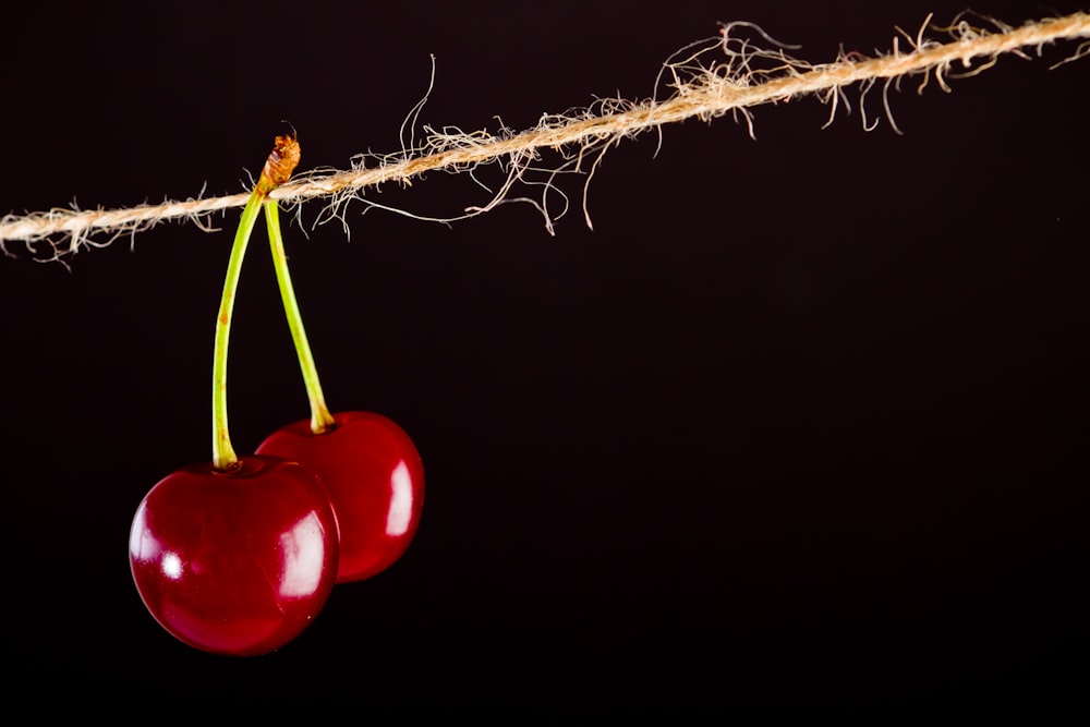 red cherry fruit on brown stem