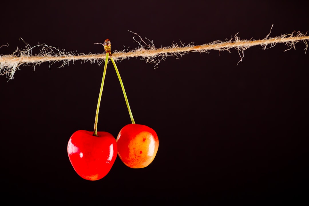 3 red round fruits on brown rope