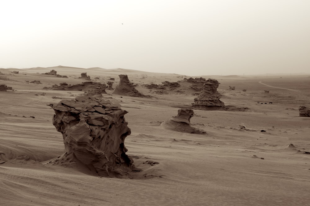 brown rock formation on brown sand during daytime