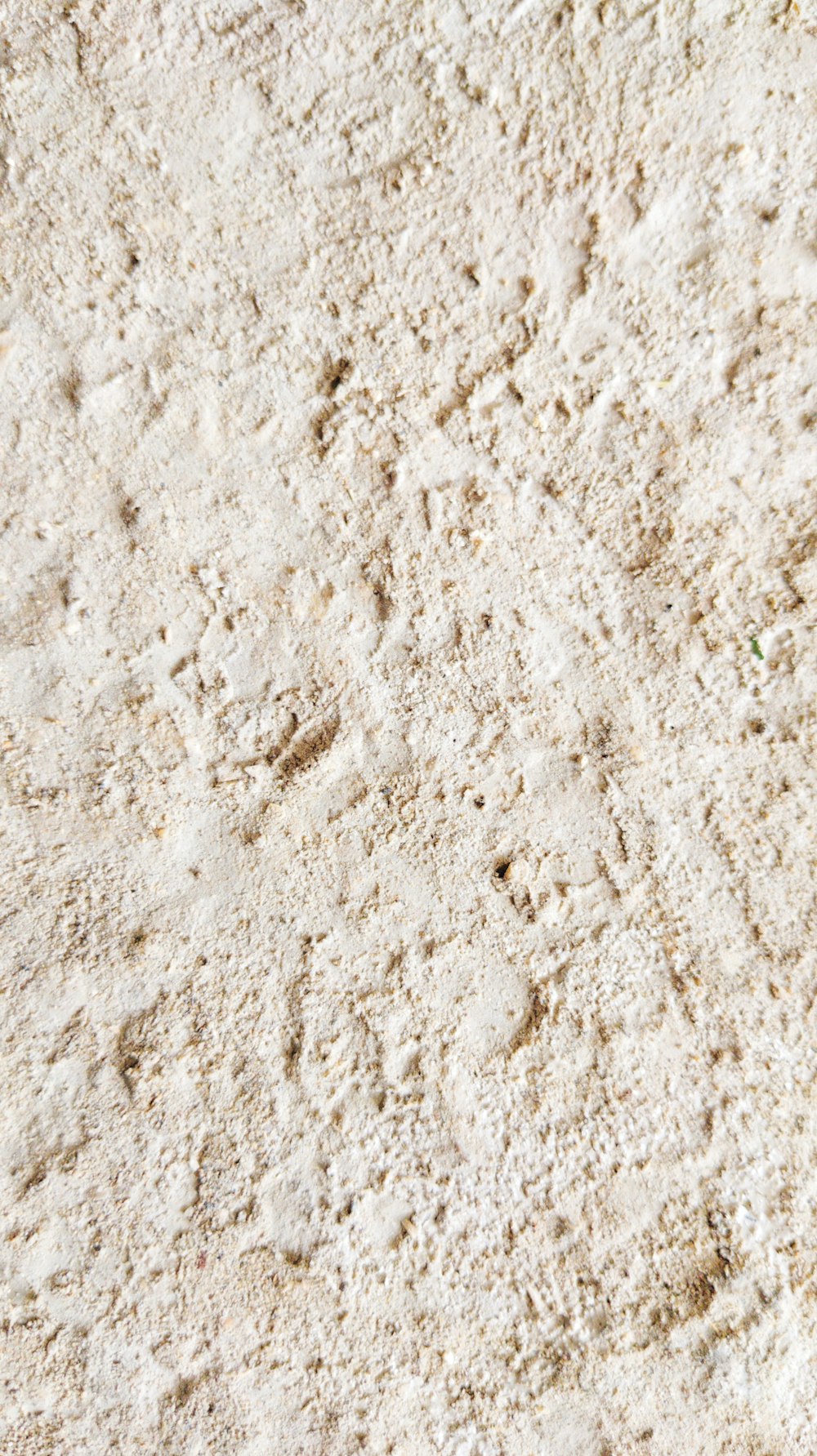 pavimento in cemento bianco e marrone