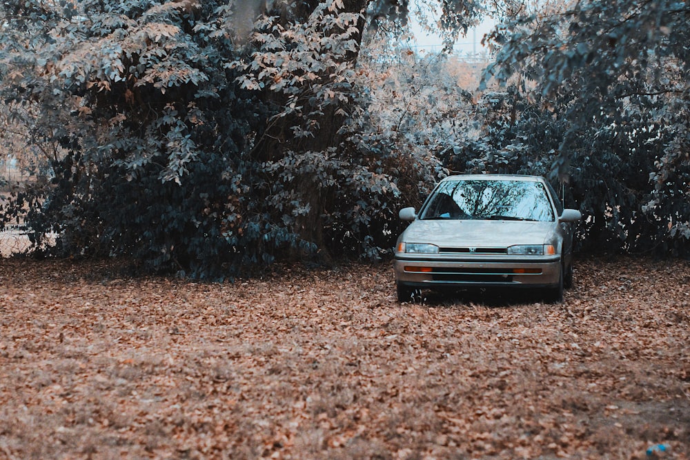 blue car parked on brown dried leaves during daytime