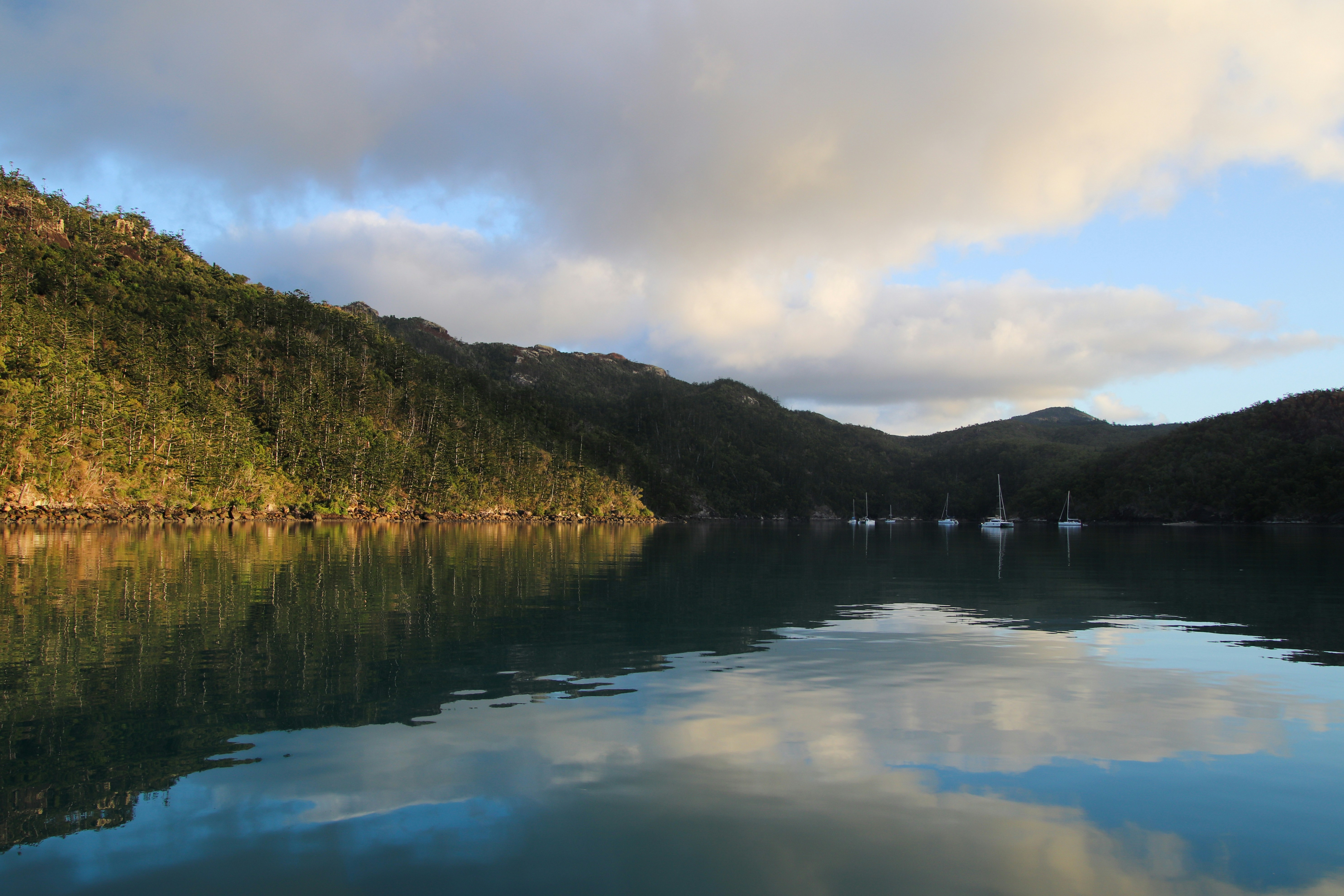 New Zealand - Trout Fishing Paradise