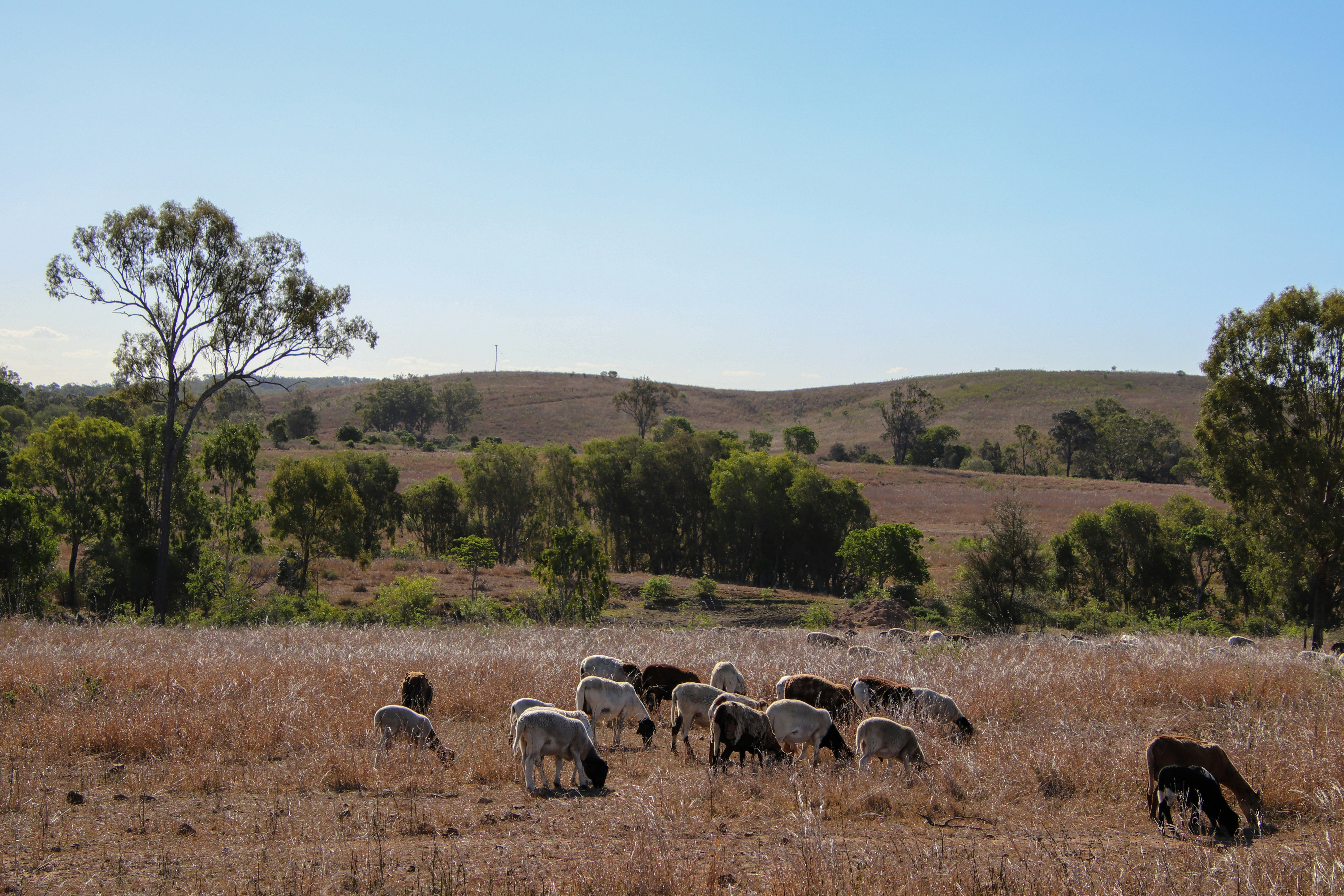 Photo by megmakesme
