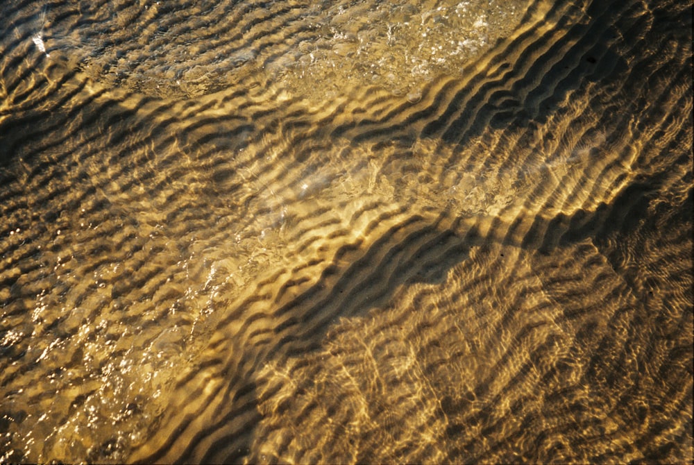 body of water during daytime