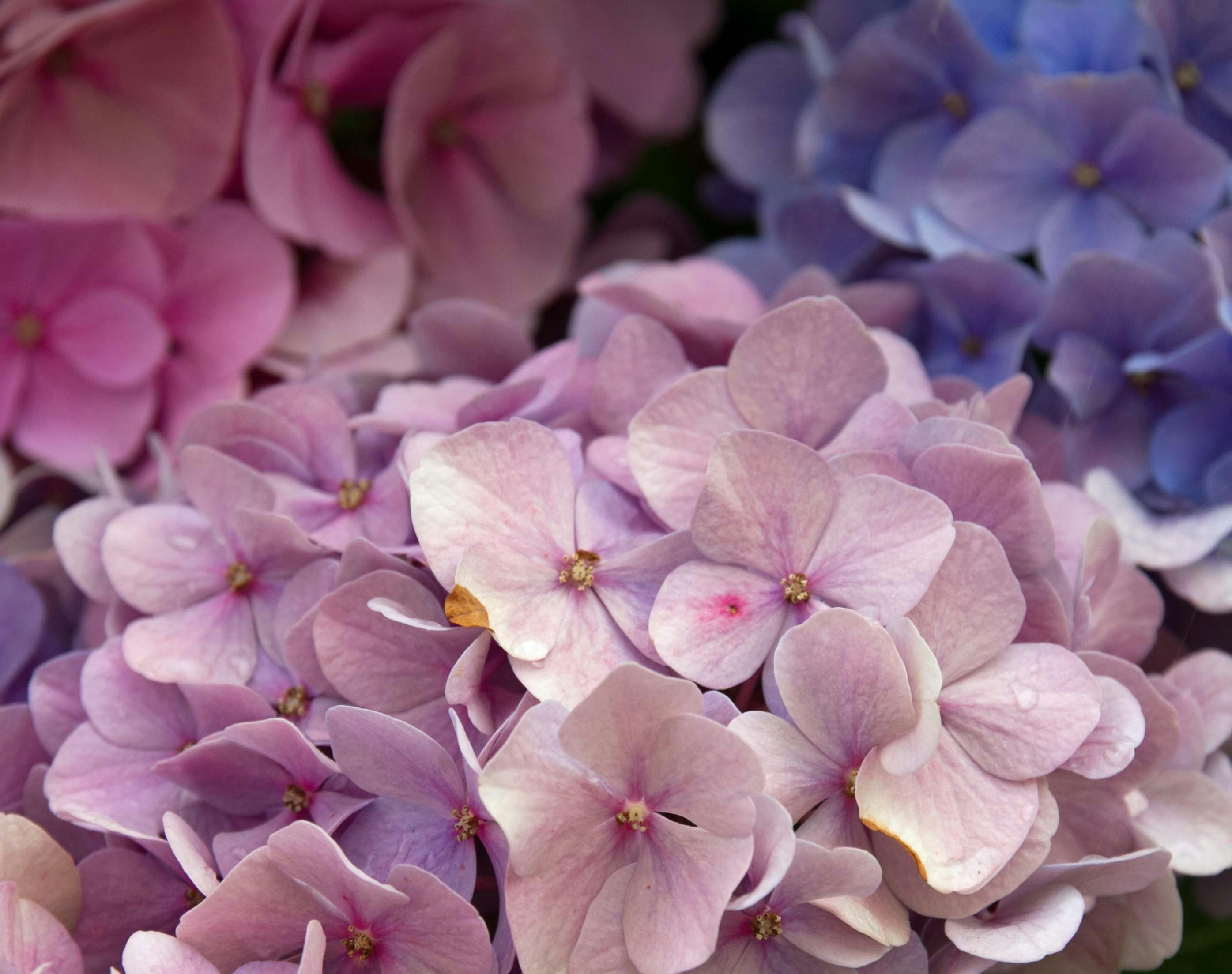 Photo by farfalla4711