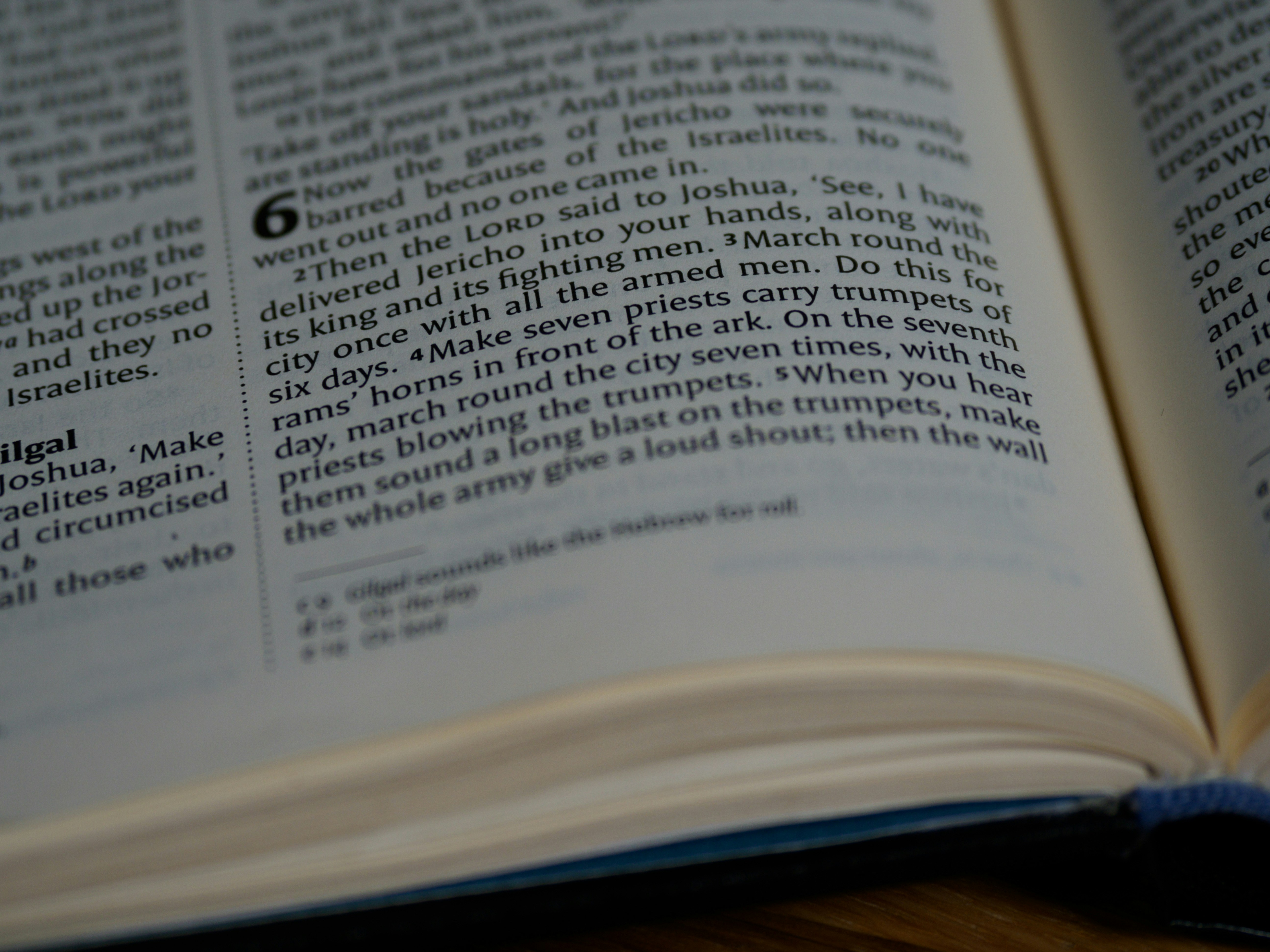 Photo by brett_jordan