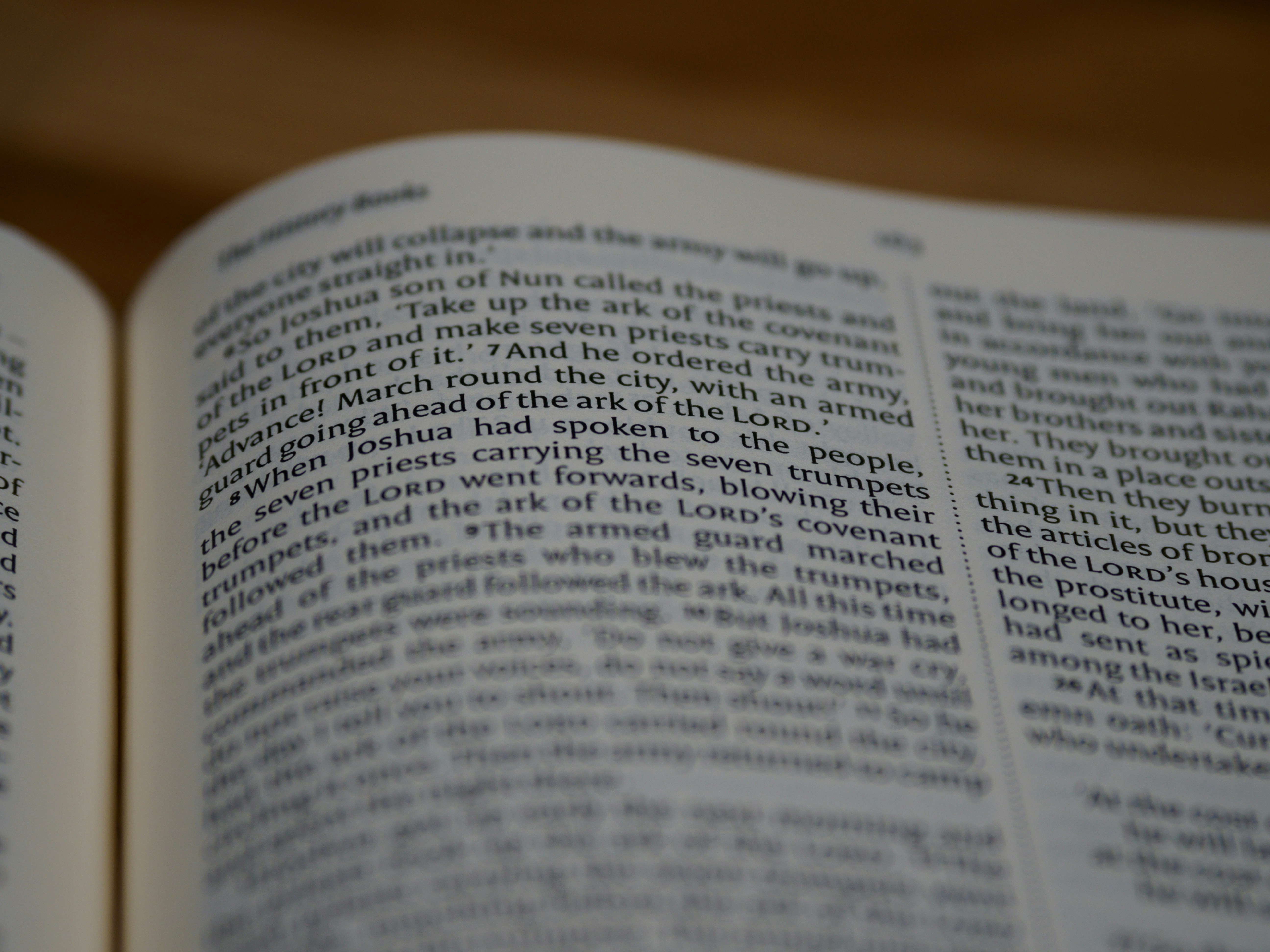 Photo by brett_jordan