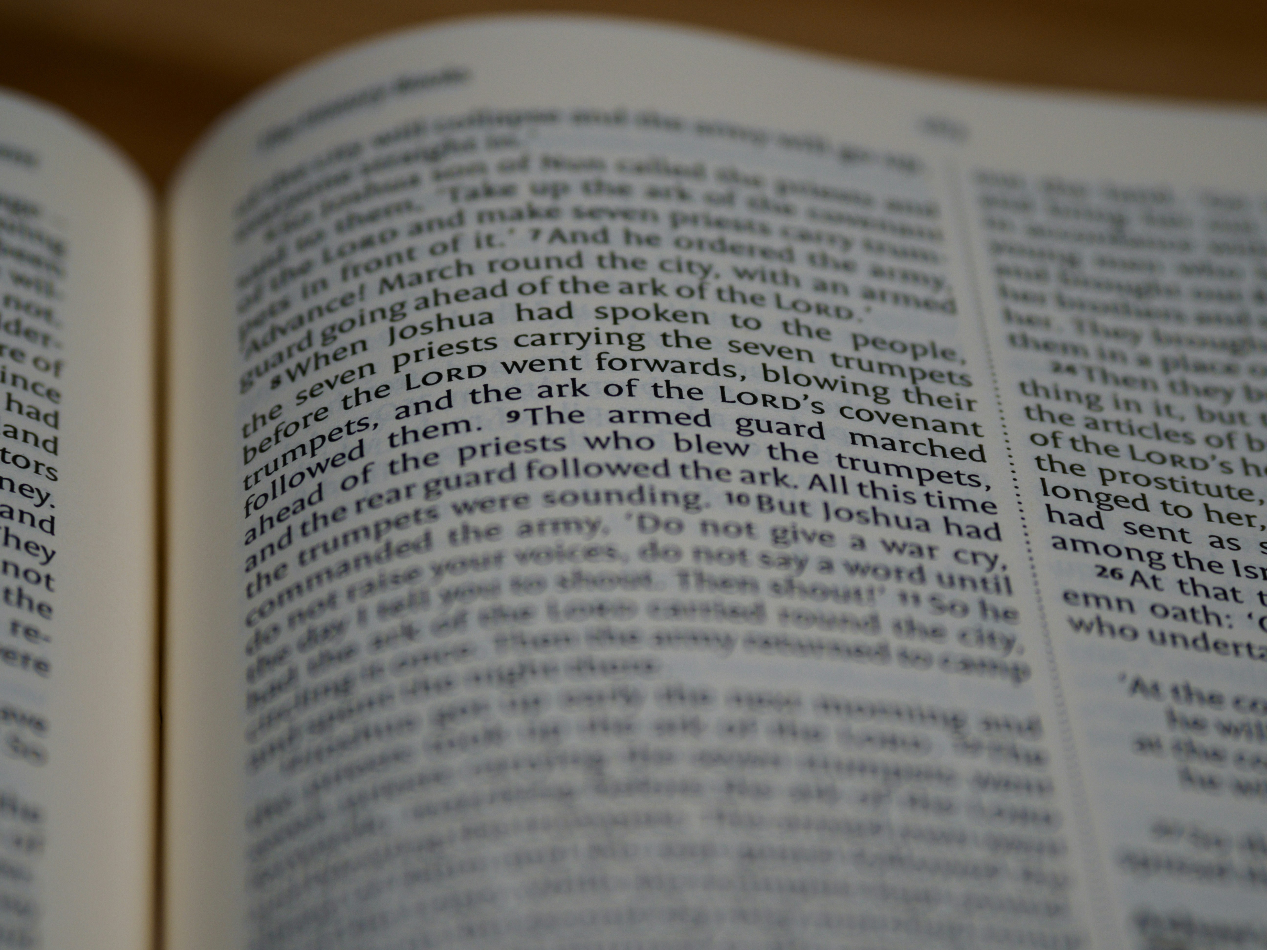 Photo by brett_jordan