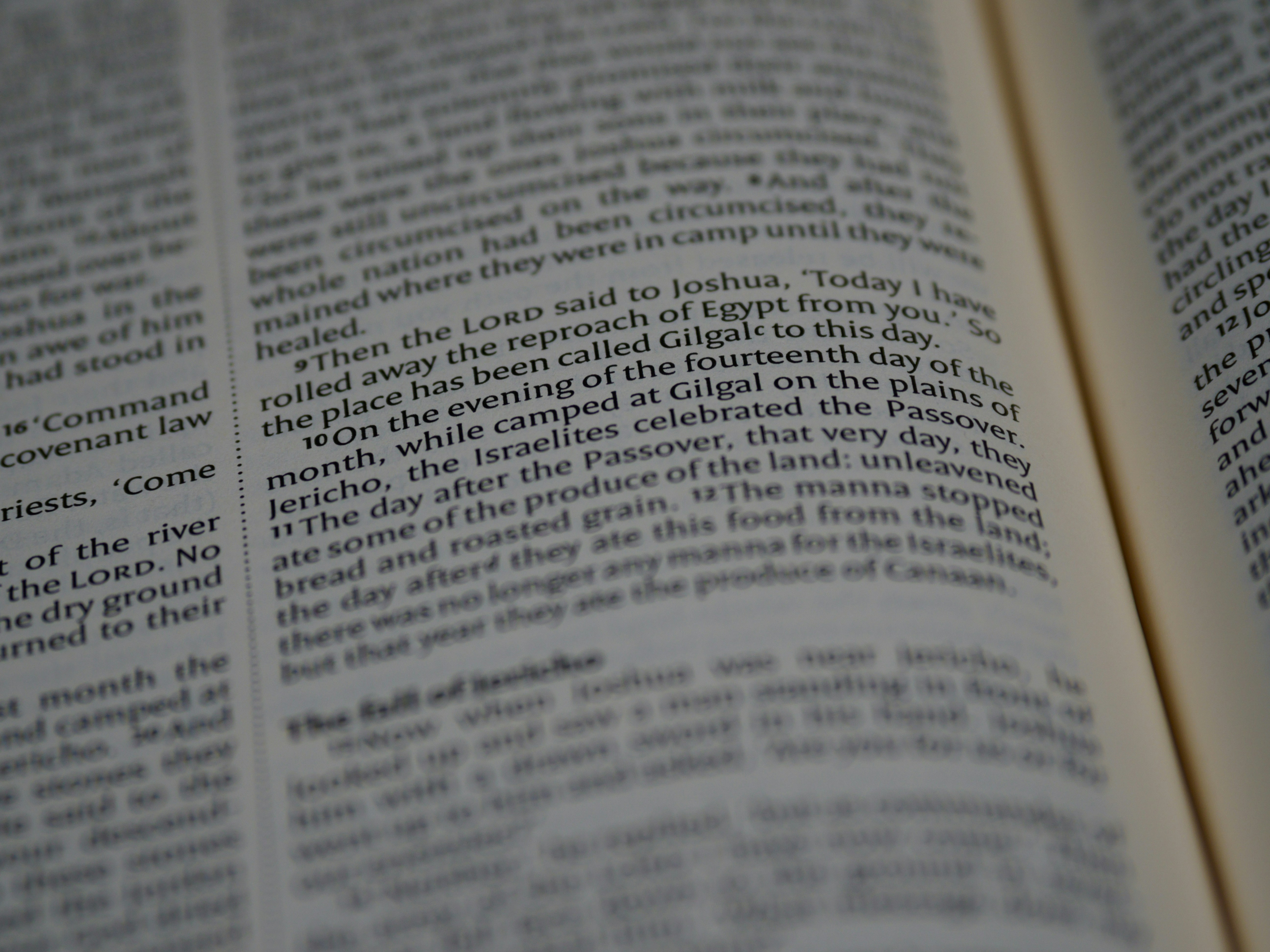 Photo by brett_jordan