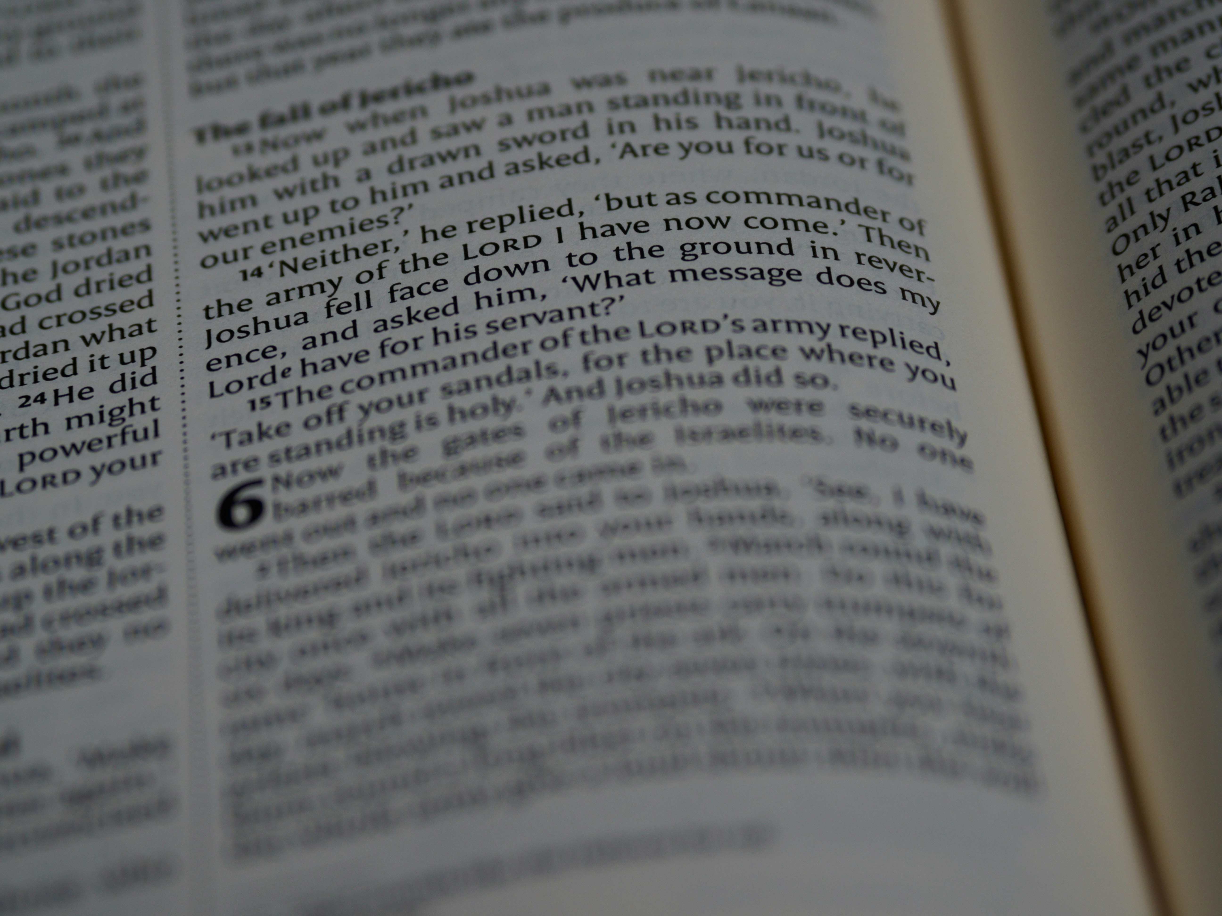 Photo by brett_jordan