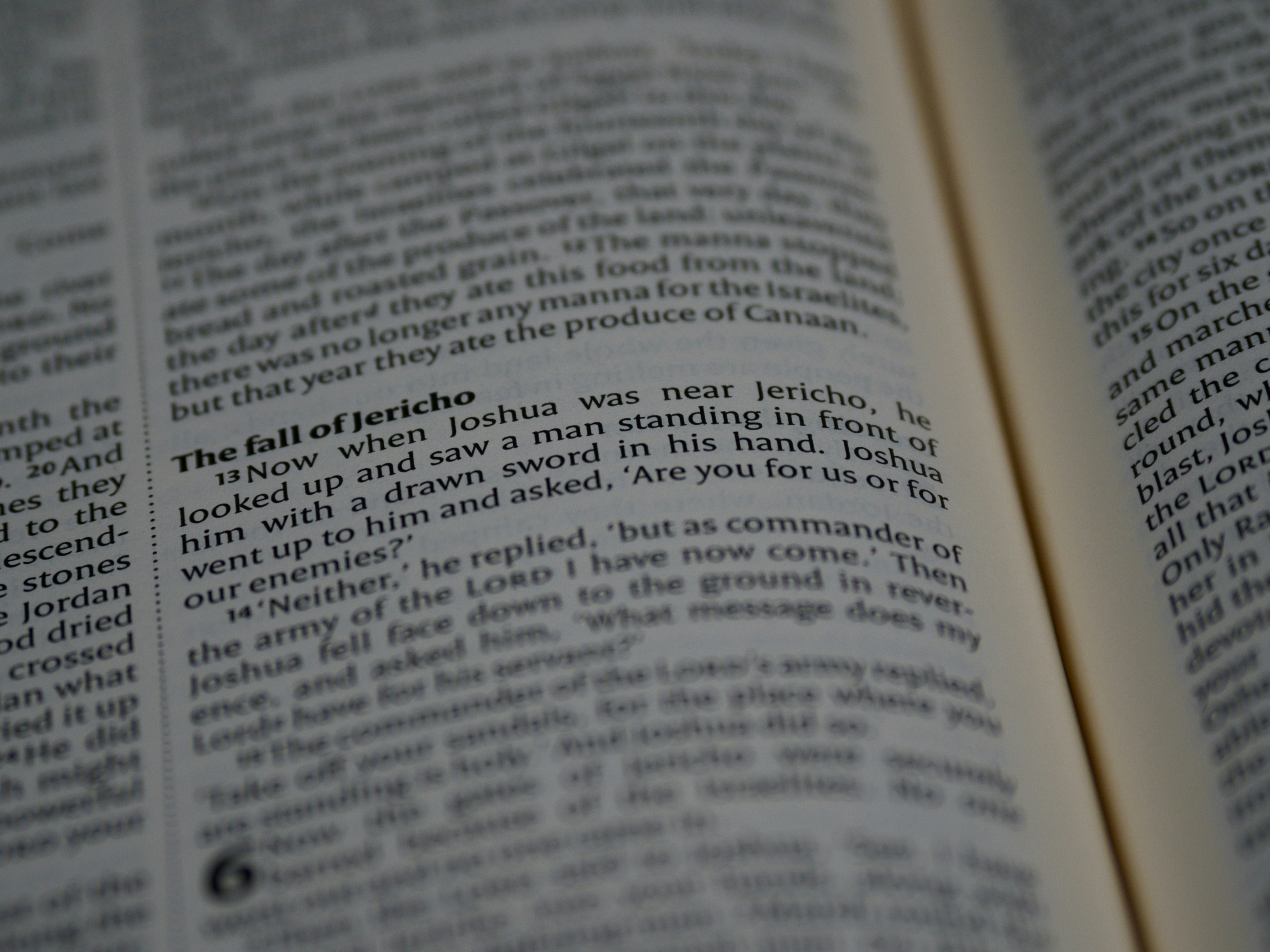 Photo by brett_jordan